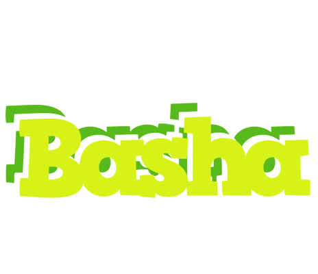 Basha citrus logo
