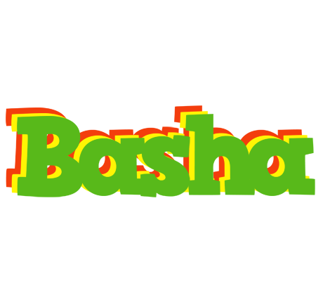 Basha crocodile logo