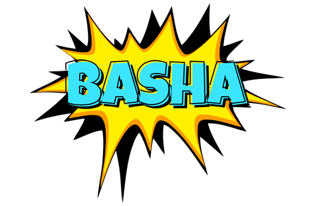Basha indycar logo