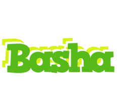 Basha picnic logo