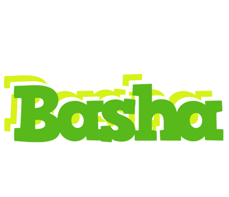 Basha picnic logo