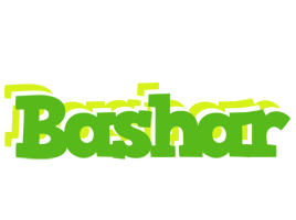 Bashar picnic logo