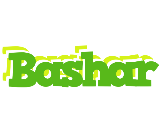 Bashar picnic logo