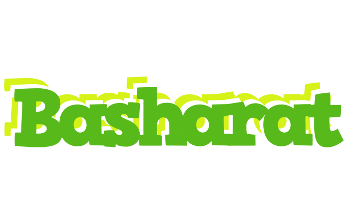 Basharat picnic logo