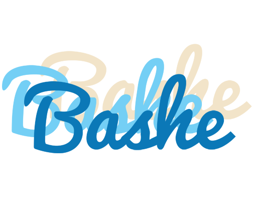 Bashe breeze logo