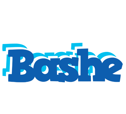 Bashe business logo
