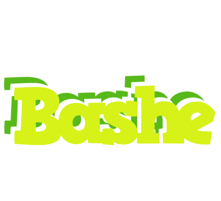 Bashe citrus logo