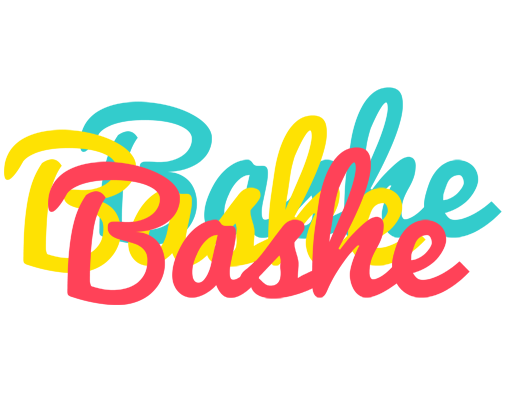 Bashe disco logo
