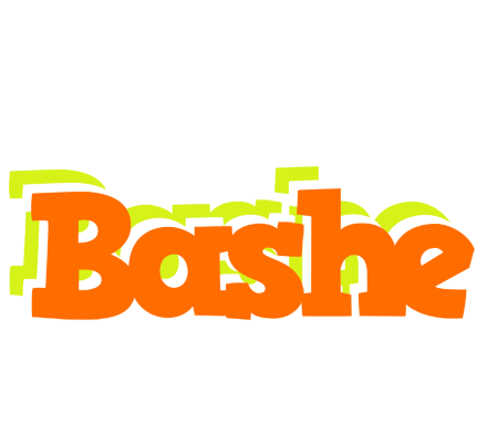 Bashe healthy logo