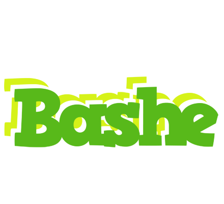 Bashe picnic logo