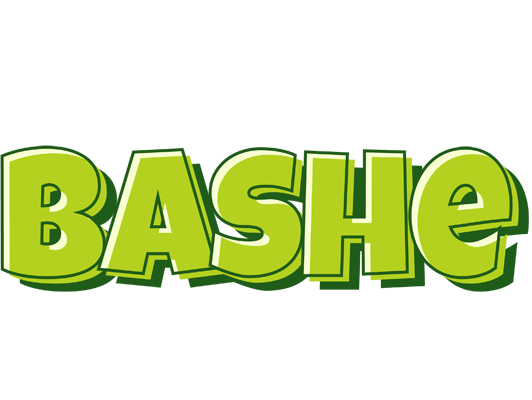 Bashe summer logo