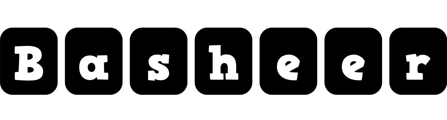 Basheer box logo