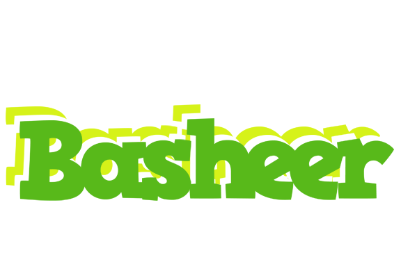 Basheer picnic logo