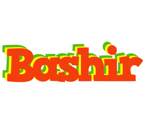 Bashir bbq logo
