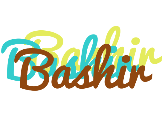 Bashir cupcake logo