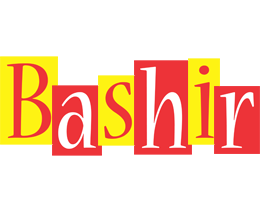 Bashir errors logo