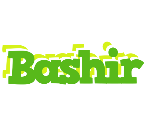 Bashir picnic logo