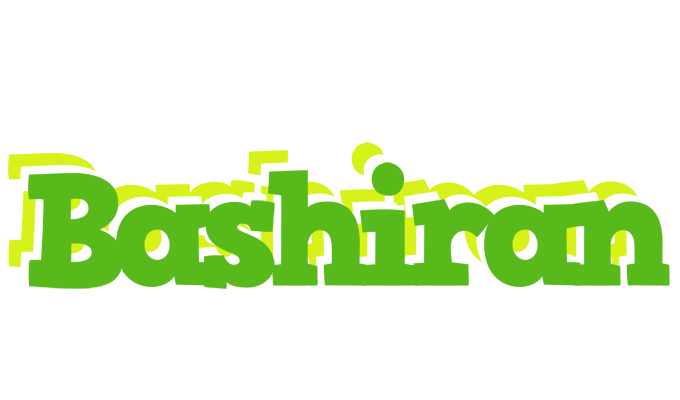 Bashiran picnic logo