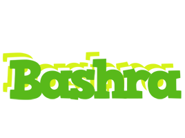 Bashra picnic logo