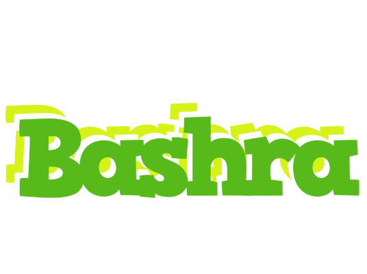 Bashra picnic logo