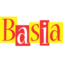 Basia errors logo