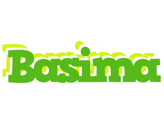 Basima picnic logo