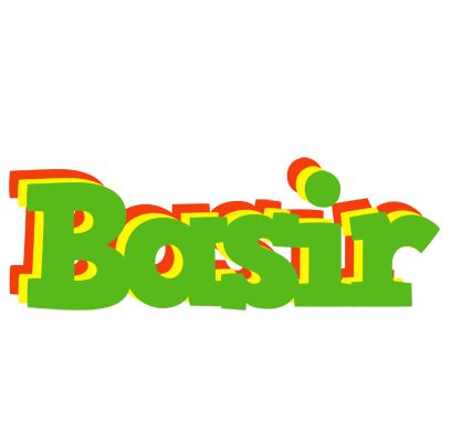 Basir crocodile logo