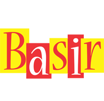Basir errors logo