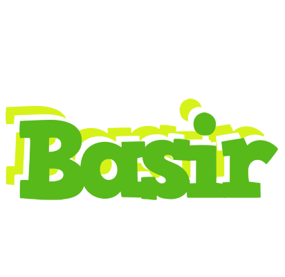 Basir picnic logo