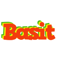 Basit bbq logo