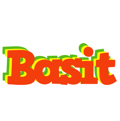 Basit bbq logo