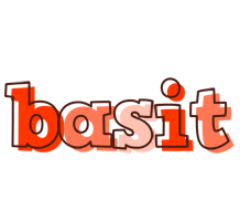 Basit paint logo