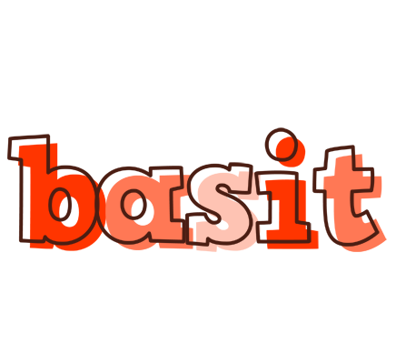 Basit paint logo
