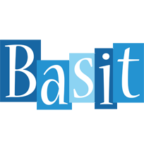 Basit winter logo