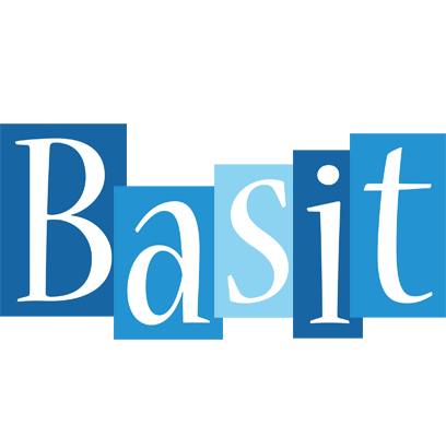 Basit winter logo