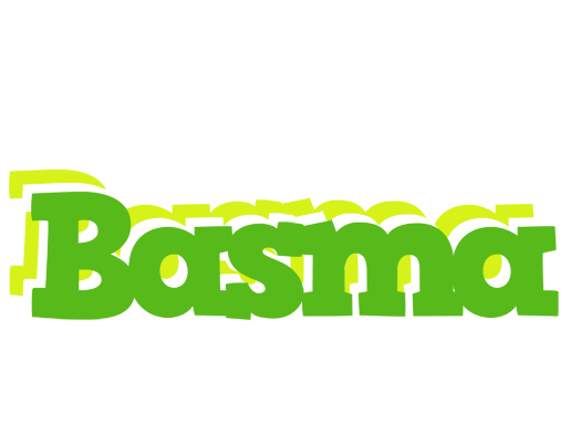 Basma picnic logo