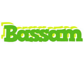 Bassam picnic logo