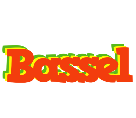 Bassel bbq logo