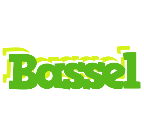 Bassel picnic logo