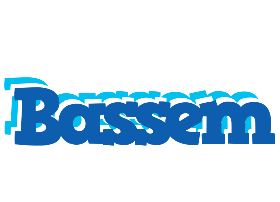 Bassem business logo