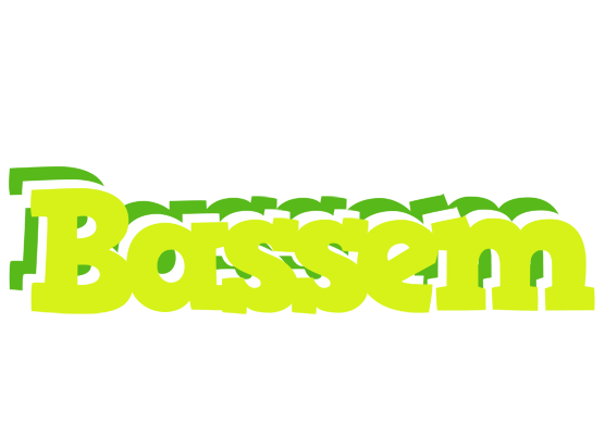 Bassem citrus logo