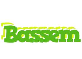 Bassem picnic logo