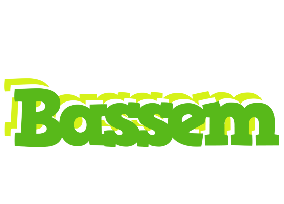 Bassem picnic logo