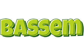 Bassem summer logo