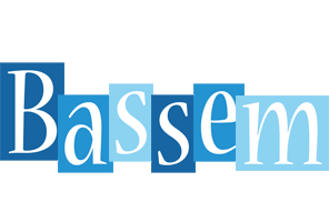 Bassem winter logo