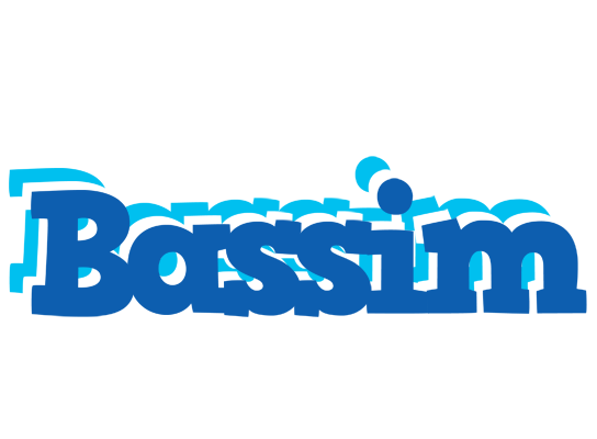 Bassim business logo