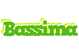 Bassima picnic logo