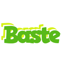 Baste picnic logo