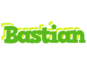 Bastian picnic logo