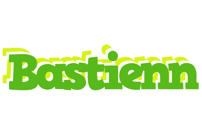 Bastienn picnic logo